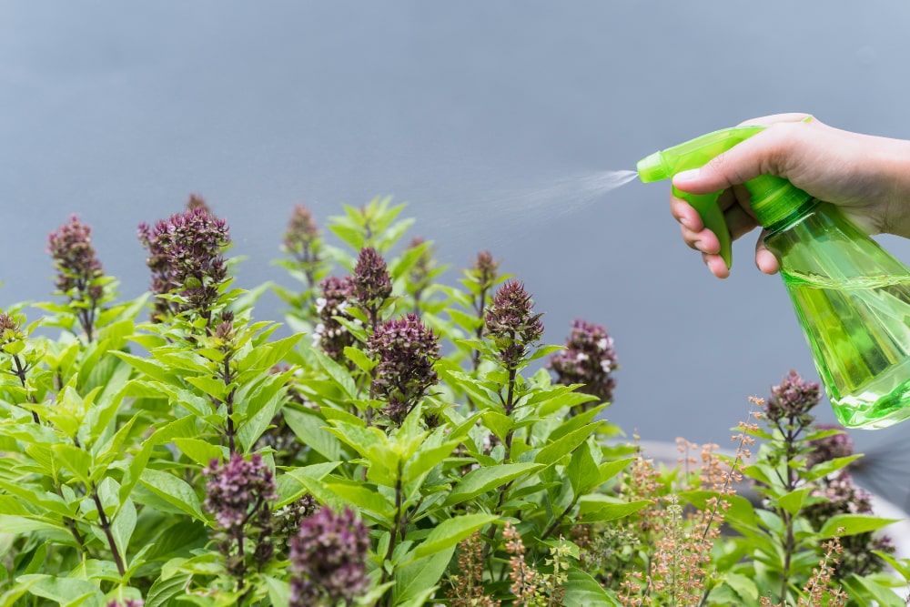 gardening-min